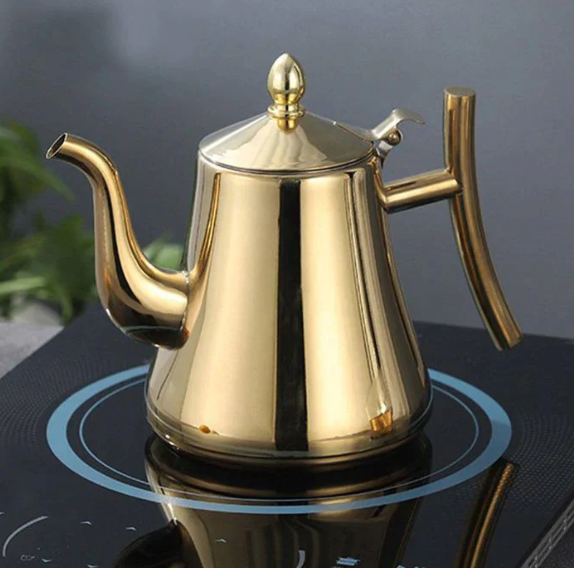 Premium Stainless Steel Induction Kettle with Filter